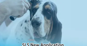 New Application| SLS 3D Printing to develop Pet Ear Endoscope Probes