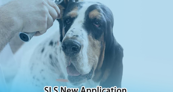 New Application| SLS 3D Printing to develop Pet Ear Endoscope Probes